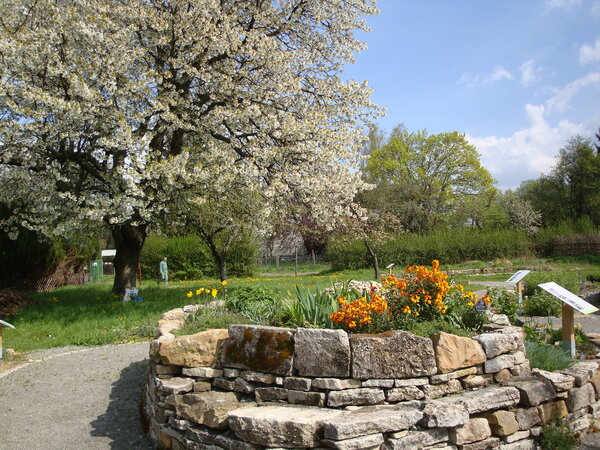 Frühling im Naturschaugarten